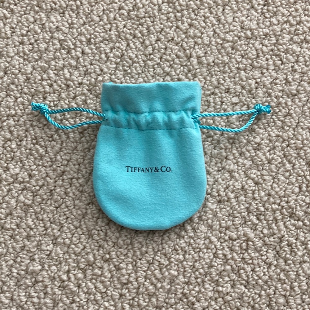 Tiffany & Co Small Pouch Dust Bag Blue Satchel Jewelry Protector